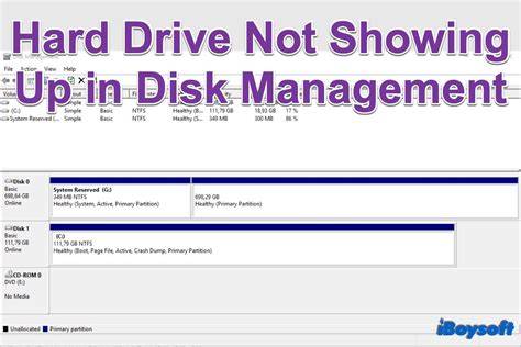 Internal hard drive not showing up in disk management windows 10.  Tips and t...
