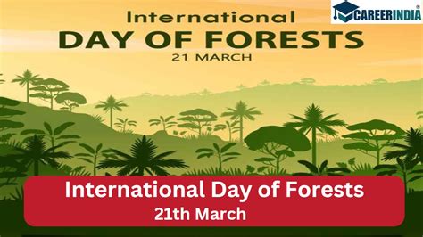 International Day of Forests – Thoughts amongst trees