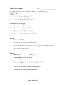 Internet Protist Lab Answers