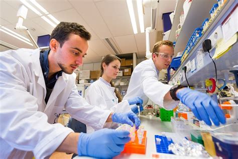 Internship biomedical science netherlands. net, Netherlands Biomedical Sciences specific...