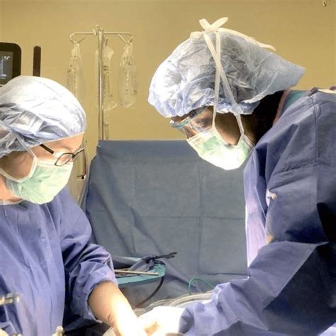 Interopweb lamar county ga.  Find great New York colon and rectal surgeons.  He pract...