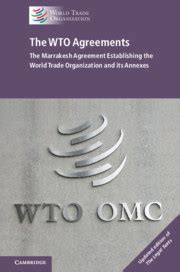 Interpreting Wto Agreements