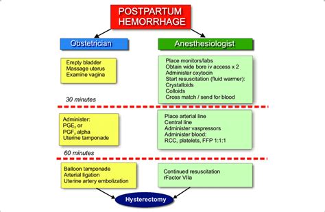 Postpartum hemorrhage is one of the surgical emergencies in obstetrics. The condition is best managed by an interprofessional …. 