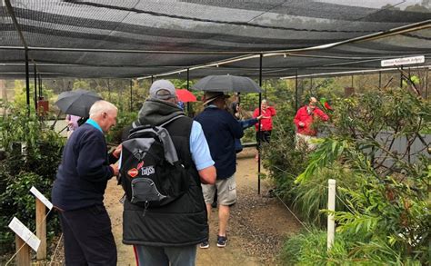 Interview with Steve Sass, head keeper at On The Perch Bird Park