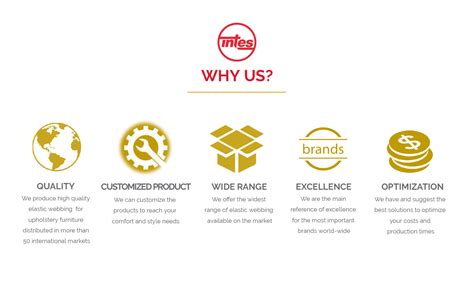 Intes webbing. lli INTES - SPA Company Description The INTES S.  introduces a new prod...