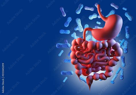 Intestinal Microflora in Asiatic Cholera. I.