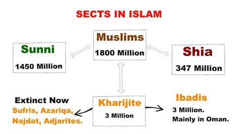 Into How many sects is the Muslim society divided? - Times of India Blog