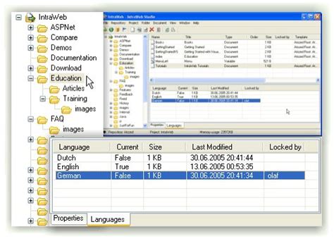 IntraWeb 15.2.65 Atozed Software