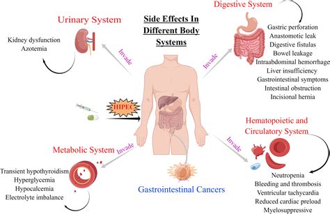 Intraperitoneal chemotherapy Procedure and side effects