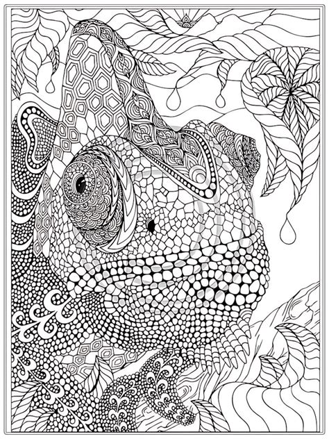 Hibiscus Coloring Sheet