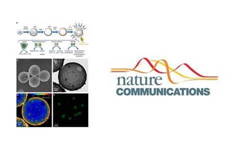 Intrinsic enzymatic properties modulate the self …