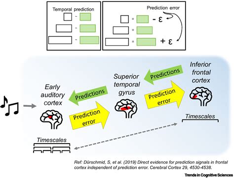 Intrinsic neural timescales: temporal integration and segregation