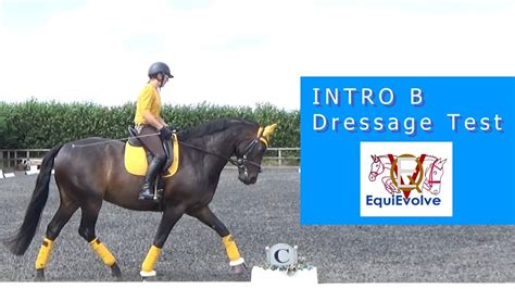 Intro B Dressage Test