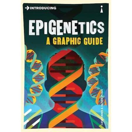 Read Introducing Epigenetics A Graphic Guide Introducing By Cath Ennis