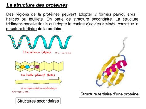 Introduction à la structure des protéines. - Impacto distributivo de la gestión fiscal en la república dominicana.