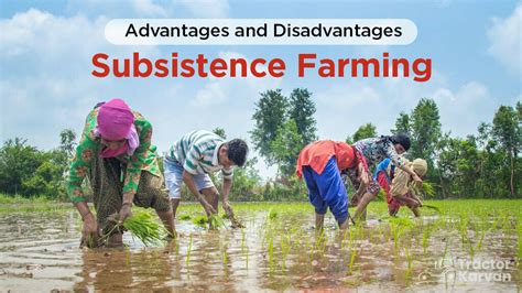 Introduction to Agriculture: Subsistence, Commercial Farming