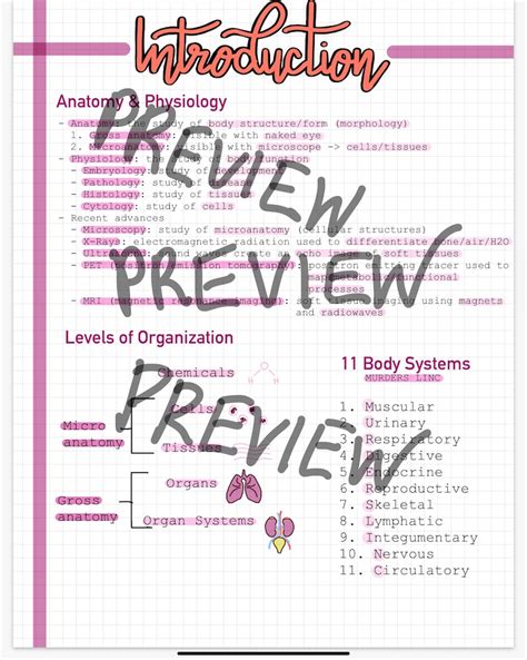 Introduction to Anatomy and Physiology Note Package Etsy
