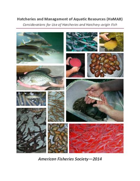 Introduction to a Special Section: Hatcheries and Management of …