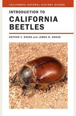 Introduction to california beetles california natural history guides. - Suzuki lta450x kingquad manual de reparación de servicio completo 2007 2009.