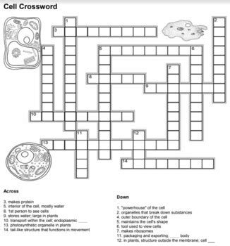 Browse cells crossword resources on Teachers Pay Teachers, a marketplace trusted by millions of teachers for original educational resources..