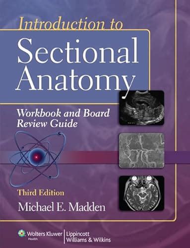 Introduction to sectional anatomy workbook and board review guide point lippincott williams wilkins. - Le r.p.j.-b. de la brosse, né à jauldes (charente), mort à tadoussac (saguenay).