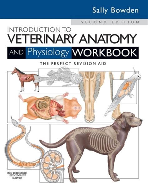 Introduction to veterinary anatomy and physiology textbook. - Droits de l'homme et gouvernance de la sécurité.