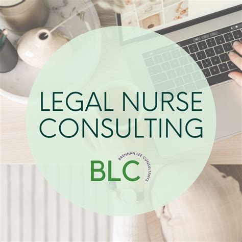 Read Online Introduction To Legal Nurse Consulting By Cynthia Weishapple