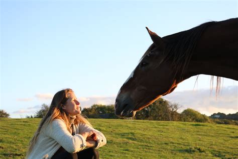 Intuitive Horse