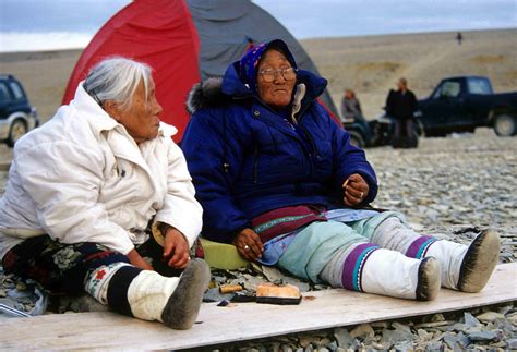 Inuit Country Food in Canada The Canadian …