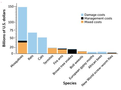 Invasive species report outlines costs, solutions for world governments