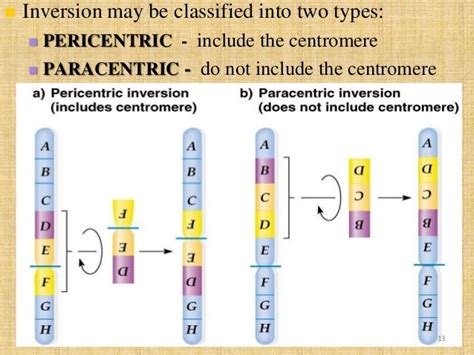Inversion mutation types.  A pericentric inversion includes the centromere in t...
