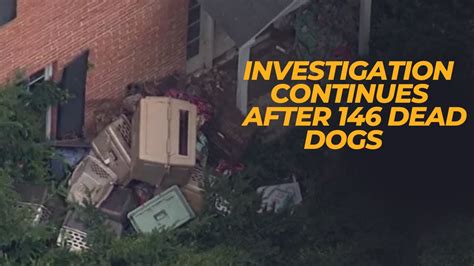 Investigation continues after 146 dead dogs found in home of animal rescue president