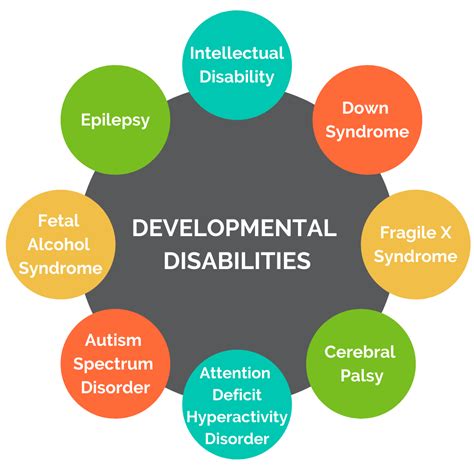Investigation of the Children with Disabilities and Their Problems.