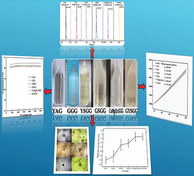 Investigation on the Growth and Properties of Six Garnet Single ...