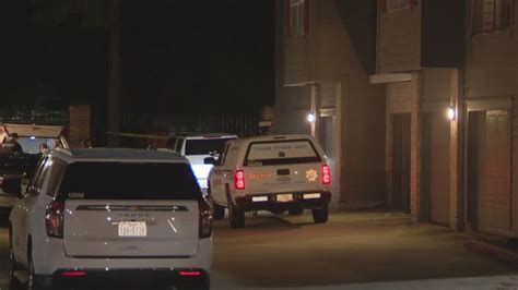 Investigation underway after brothers found dead in ...