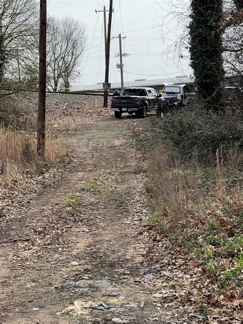 Investigation underway after human remains found in wooded area in Falmouth