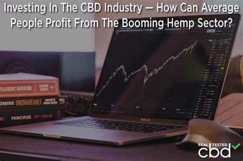 Investing In The CBD Industry — How Can Average People Profit From The Booming Hemp Sector?