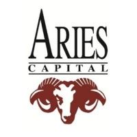 Investment Banking Analyst - Aries Capital, LLC