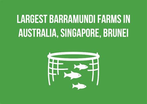 Investor Centre – Barramundi Group