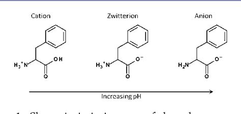 Ionization state of l-Phenylalanine at the Air–Water Interface