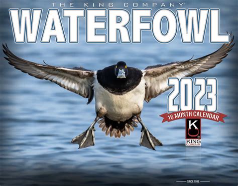 Iowa 2023 waterfowl season. Youth, Military and Veteran Waterfowl Hunt – Dec. 3, 2022, and Feb. 4, 2023. Beginning with the 2023-24 waterfowl season, the opening day of the first segment of duck season will begin on the Saturday immediately following Thanksgiving. This change was preferred by public comment respondents from surveys conducted between 2008 … 