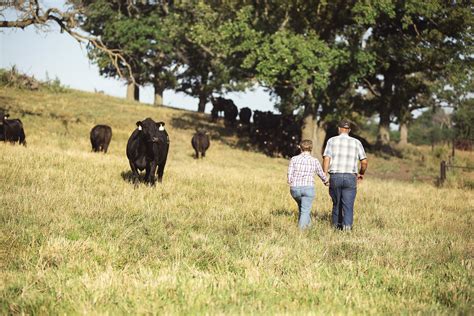 Iowa Cattleman November 2015 Page 5