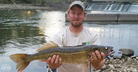 Iowa dnr fishing report. Things To Know About Iowa dnr fishing report. 