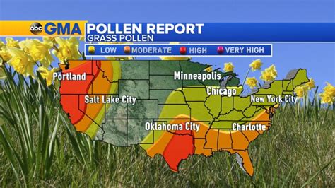 Allergy Tracker gives pollen forecast, mold count