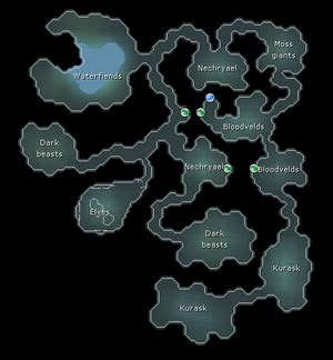 Kalphite Cave. Karuulm Slayer Dungeon. Kraken Cove. Lizardman Caves. Lumbridge Swamp Caves. Smoke Devil Dungeon. Stronghold Slayer Cave. Wyvern Cave. The slayer dungeon referenced in the in-game Agility skill guide's level 62 shortcuts is the Fremennik Slayer Dungeon .. 