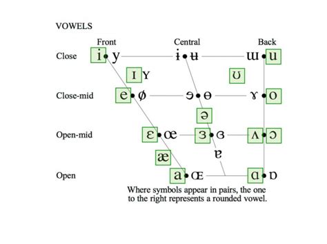 The arrangement of the vowel sounds in the chart below reflects the IPA standard. Rounded and unrounded pairs are represented as: Unrounded • Rounded. For this class, you should learn the terms used to describe the vowel sounds of English. . 