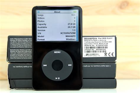 Ipod classic 30gb model a1136 manual. - The essentials of risk management the definitive guide for the non risk professional.
