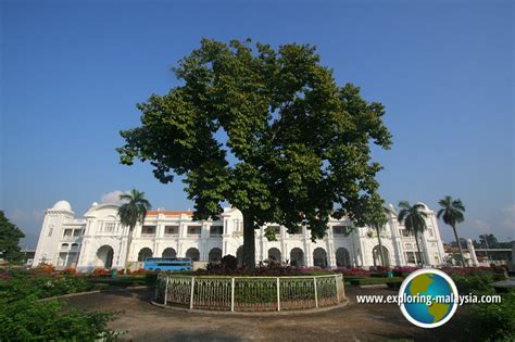 Ipoh Tree Travel Info, Ipoh Heritage Guide, Perak, Malaysia