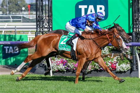 Ipswich Cup 2024 Field, Tips, Betting Odds, Results - Just Horse …