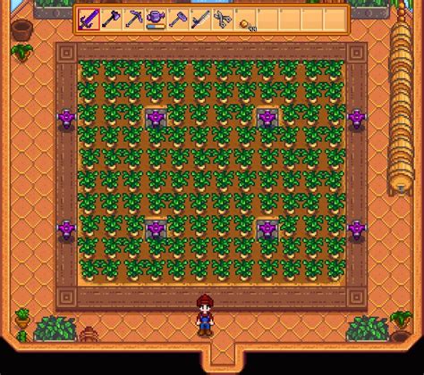Buying an Iridium Sprinkler from Krobus each Friday may offer an excellent way to obtain several for your farm or Greenhouse. Even if you’re barely making the necessary 10,000g, this allows you to own at least one without waiting until reaching level 9 and grind through the Skull Cavern for Iridium Ores for smelting.. 